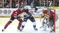 hokej sparta